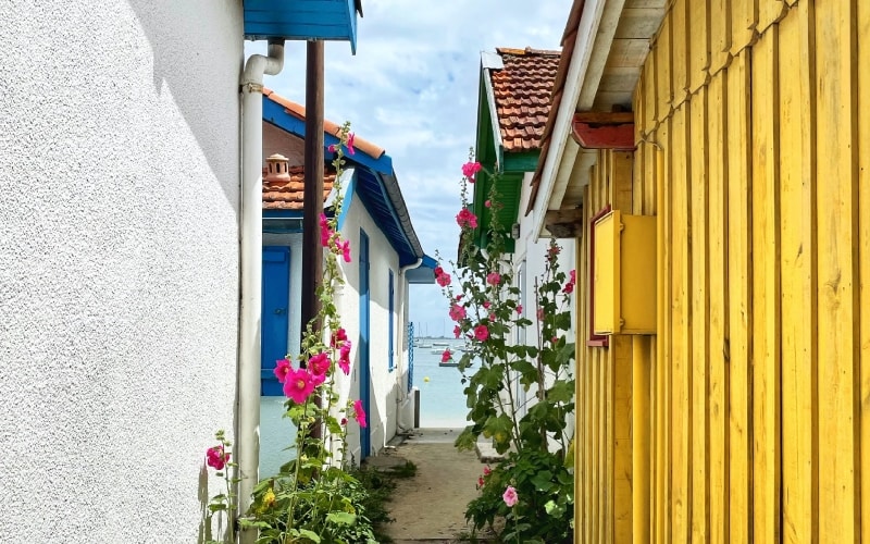 Vue depuis le village de l'herbe au cap ferret avec des fleures et maison jaune, bleue. vue sur l'océan en arriere plan